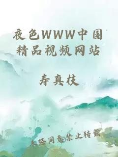 夜色WWW中国精品视频网站